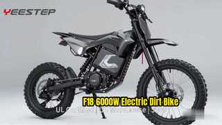 BICICLETA DE TIERRA F18